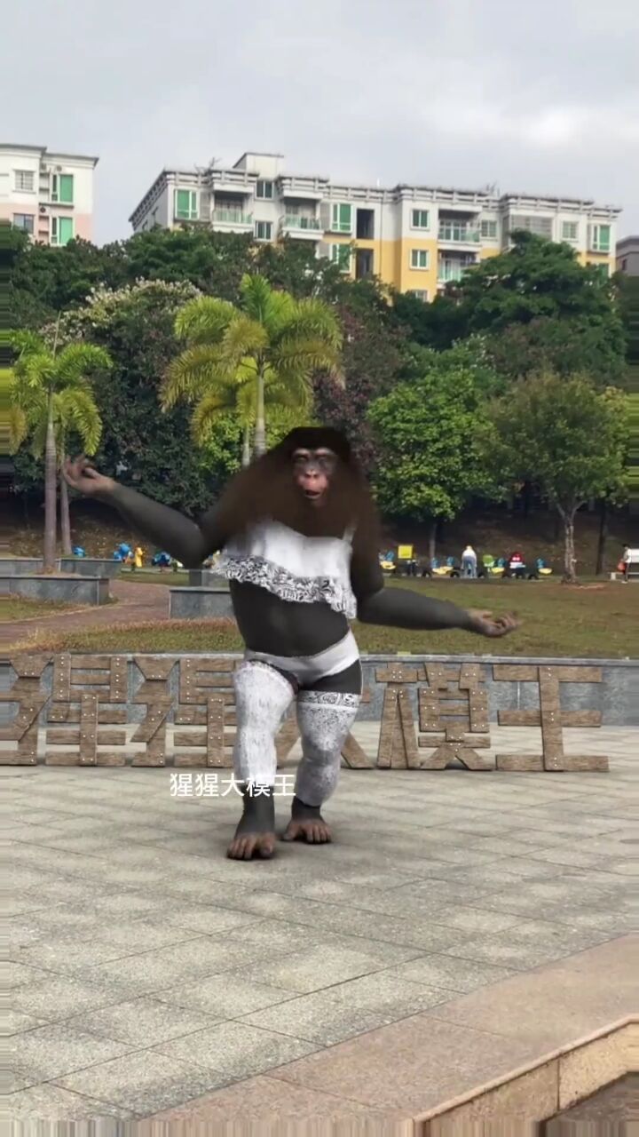 白丝 蕾丝=奈斯!#猩猩