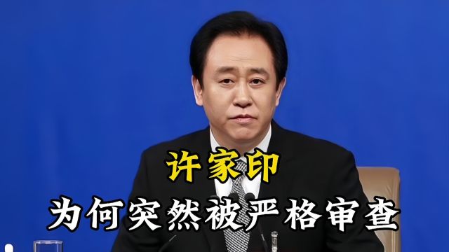 许家印遭国家严格审查,背后真相令人震惊,恒大集团未来何去何从