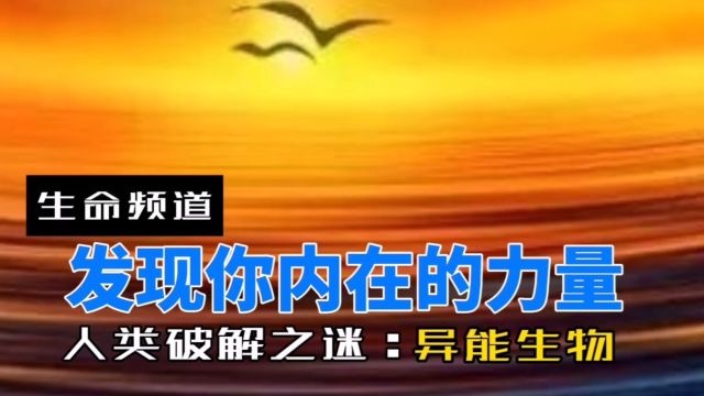 人的强大皆来自于内心而非外正,这个结果是可以发现和修炼而获得的!