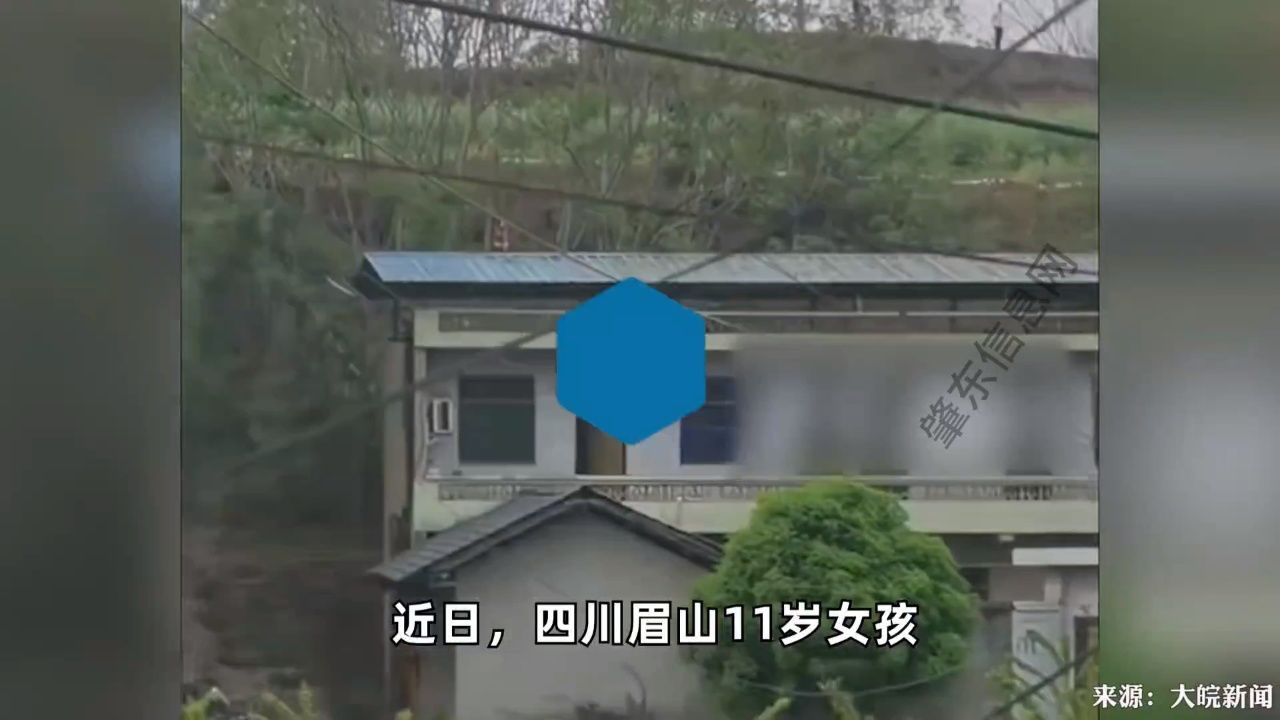 11岁女孩独自外出失踪遇害,家属称不认识嫌疑人
