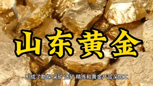 一天一家上市公司 | 山东黄金