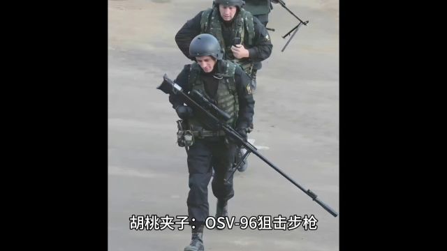 胡桃夹子:OSV96狙击步枪