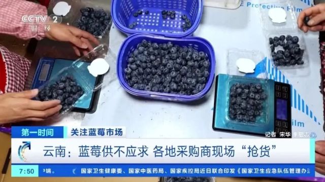 订单增长超1600%!商家纷纷到云南“抢货”,好多昆明人爱吃