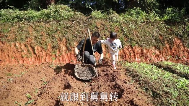 有朋友想要的盐菜制作全过程,现在他来啦,看看你能学会吗