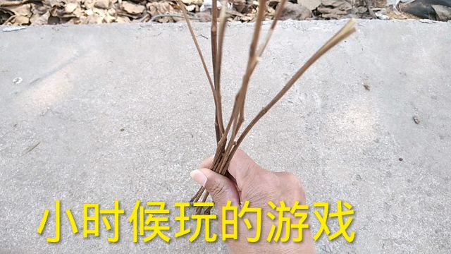 童年的快乐,一种简单的游戏,你们玩过吗吗?