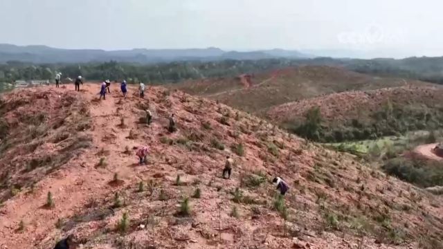 我国将加快推进下一阶段生态保护修复工作,围绕生态保护修复规划体系建设,掌握今后一个时期的修复重点和空间位置