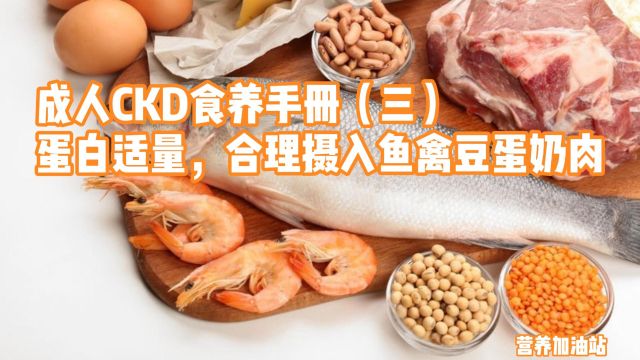 成人CKD食养手册(三)蛋白适量,合理摄入鱼禽豆蛋奶肉