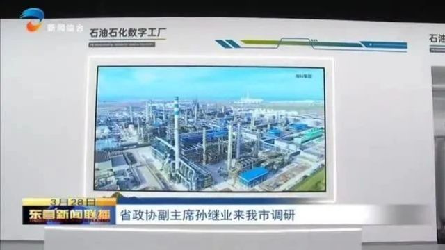 省政协副主席孙继业来我市调研