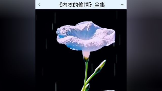 《内衣的偷情》点击下方查看后续精彩内容