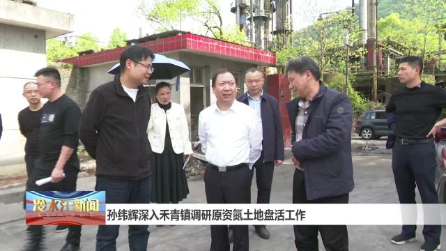 孙纬辉深入禾青镇调研原资氮土地盘活工作