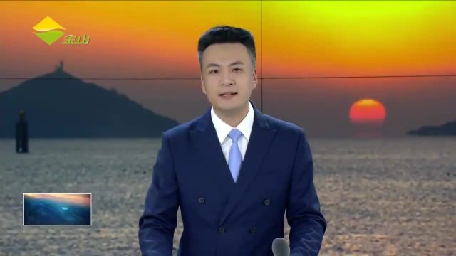 “活力湾区 共创未来”央企走进金山 推动央地合作持续深入