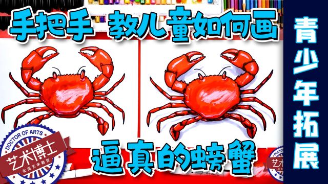 教孩子如何画《逼真的螃蟹》简单漂亮零基础 儿童学画画绘画