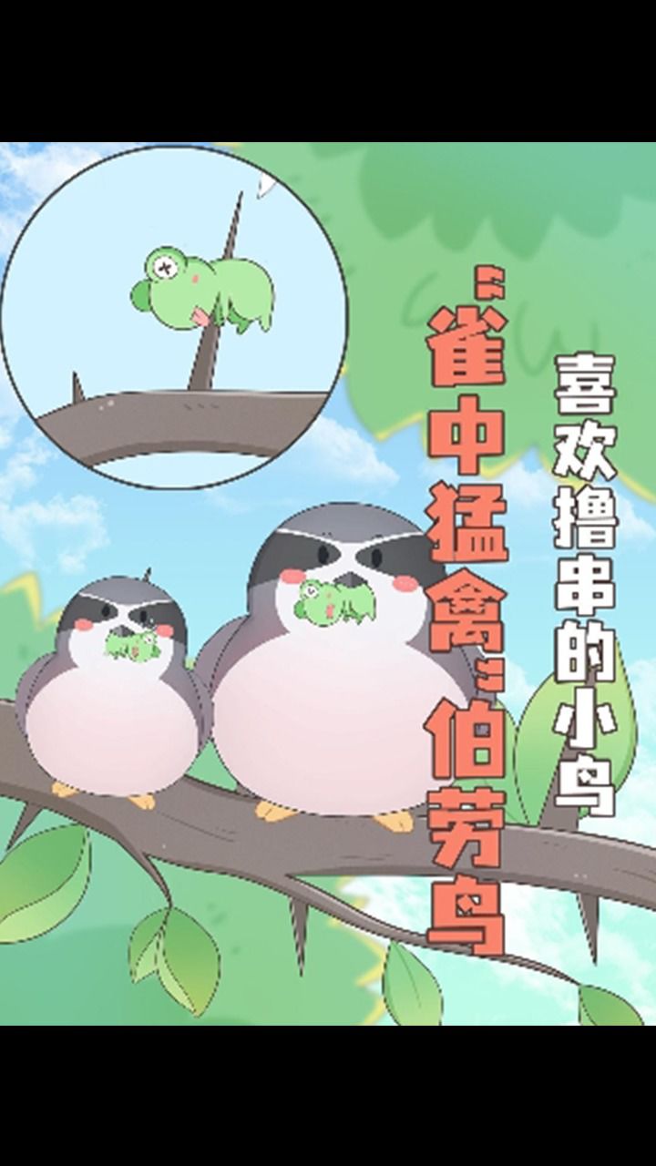 伯劳鸟为什么喜欢把小动物串树上?