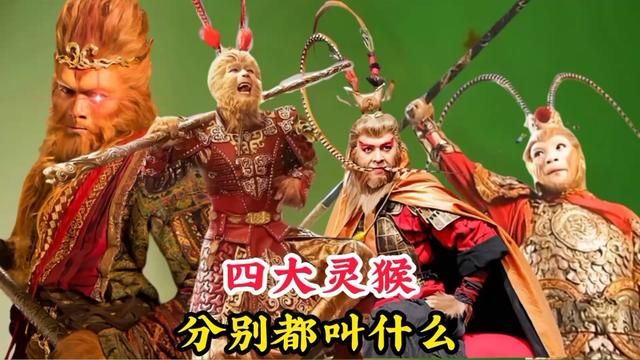 四大灵猴分别都叫什么,竟然如此神通广大,让如来佛祖都忌惮三分 #混世四猴 #赤尻马猴 #灵明石猴 #通臂猿猴 #六耳猕猴