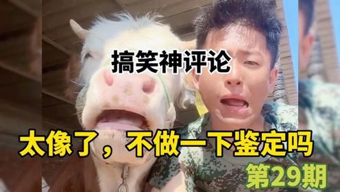 爆笑_搞笑神评论,网友:太像了,不做一下鉴定吗?