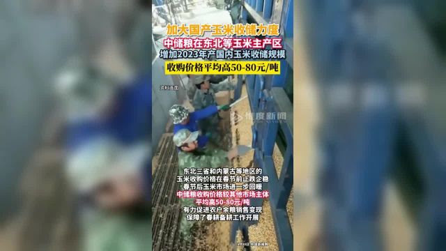 中储粮加大对黑龙江等地玉米收储力度,收购价平均高5080元吨.