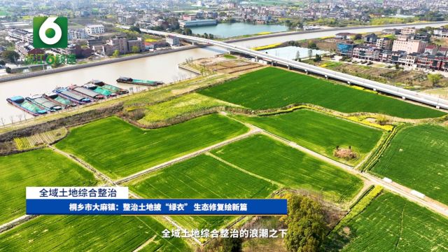 桐乡市大麻镇:整治土地披“绿衣” 生态修复绘新篇