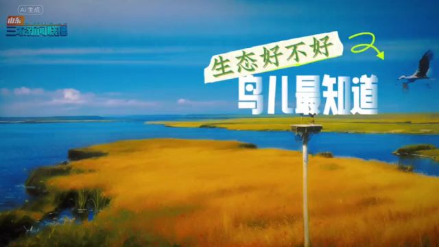 生态好不好,鸟儿最知道.60秒带你观赏“鸟界国宝”东方白鹳