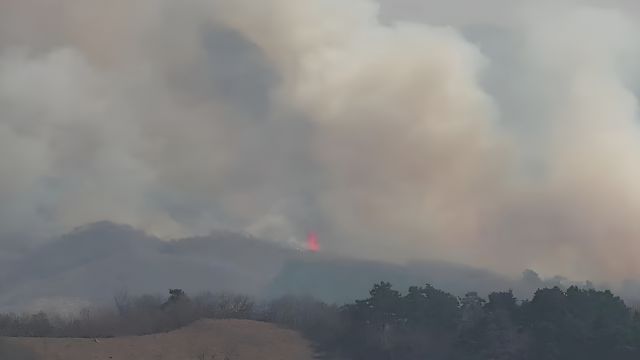 辽宁抚顺发生山火,现场浓烟滚滚可见数米高火苗