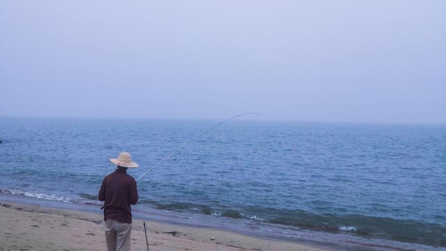 海钓的常用鱼饵和使用技巧,提高海钓鱼获