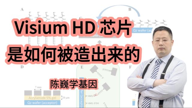 【陈巍学基因】Visium HD 芯片是如何被造出来的