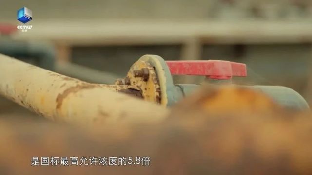 食品厂6人相继死亡,真相是……