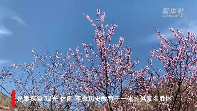 宁夏固原老龙潭景区:山花绽放 景色宜人