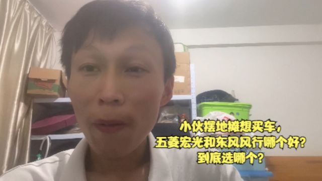 小伙摆地摊图方便想买辆车,五菱宏光和东风风行哪个好?