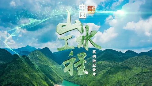 #美丽中国山水工程# 第十一集美哉，沂蒙山！|联合国首批“世界十大生态恢复旗舰项目”_高清1080P在线观看平台_腾讯视频