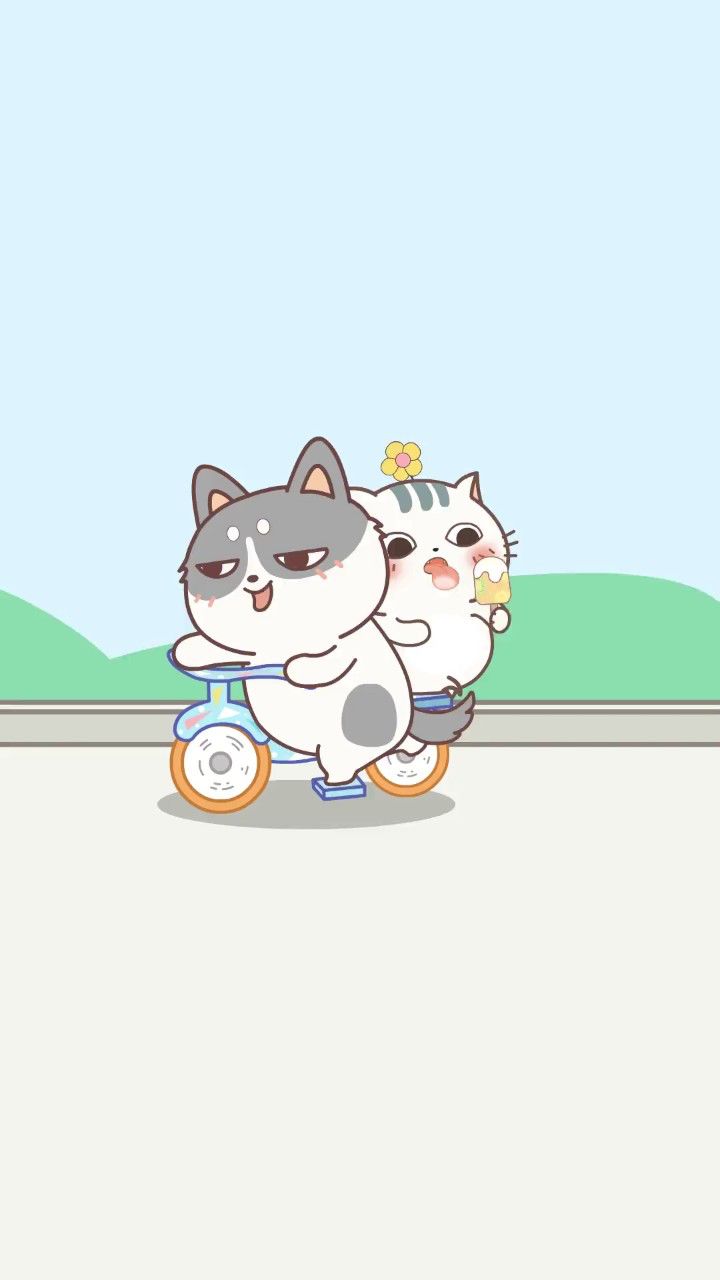 土豆喵