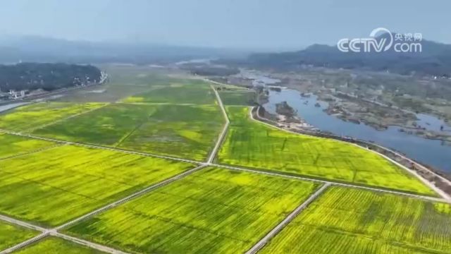 从数据看经济向好,农业农村部:一季度农业农村经济保持良好发展势头