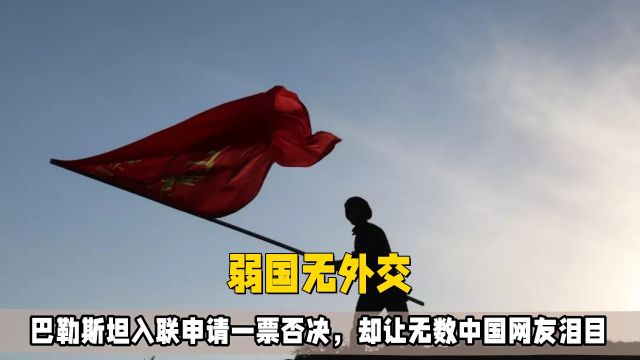 巴勒斯坦入联一票否决,让无数网友泪目, 这何尝不是以前的我们