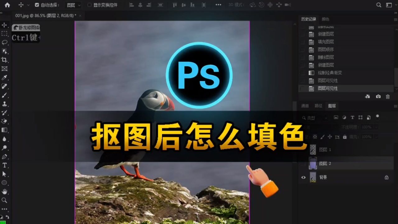 ps抠图后怎么填充背景色?新手ps抠图指南