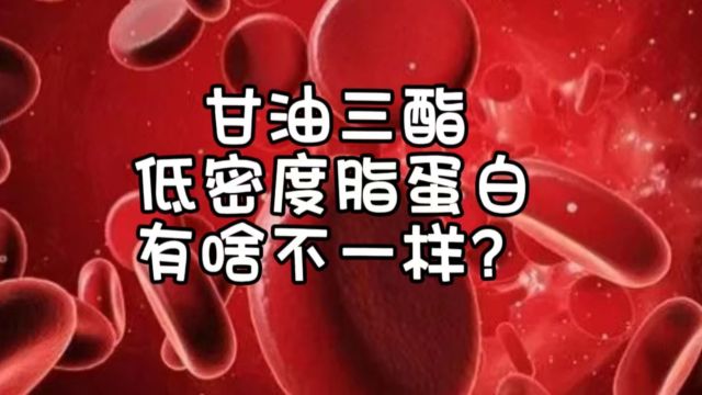 甘油三酯与低密度脂蛋白有啥区别?哪个升高危害大?