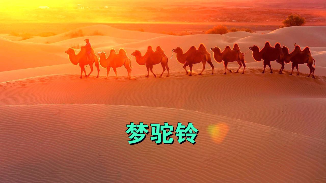 梦驼铃 · 电子琴dj版 · 胡杨大漠风情