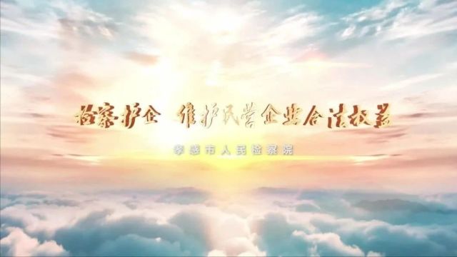 检察护企 | 民营企业法律维权观摩交流会代表团到市检察院观摩考察