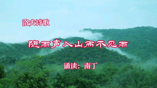 洛夫诗歌《随雨声入山而不见雨》诵读:南丁