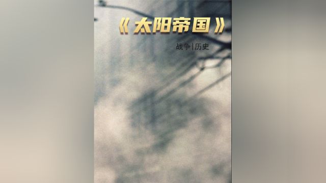 一个英国男孩在上海的逃亡之路 3/3#战争电影 #太阳帝国