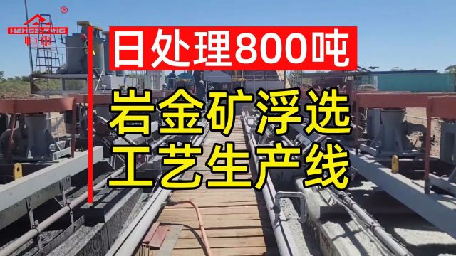 每天处理800吨岩金矿选矿设备浮选工艺生产线案例