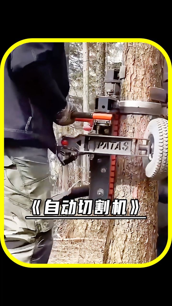 自动切割机能提高修剪的效率