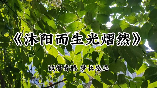 沐阳而生光熠然