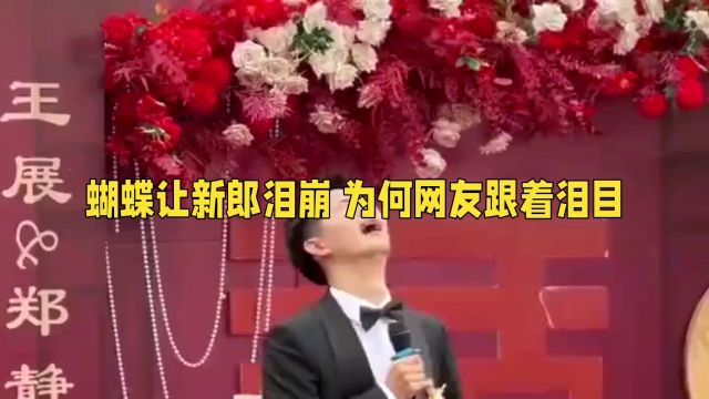 岳阳婚礼惊现奇迹:蝴蝶携外婆的祝福降临