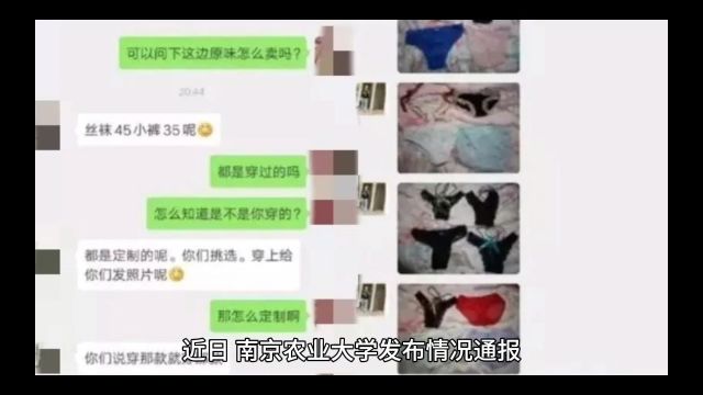 南京农业大学通报:大学男生冒充小学生诱骗女生“骑大马”,校方将依规依纪处理