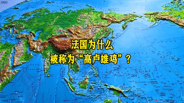 法国为什么被称为“高卢雄鸡”?