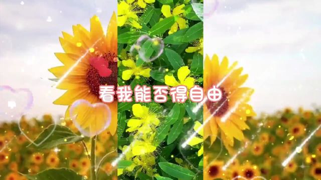 4我对你的思念永远像欢愉的溪水一样源源不绝