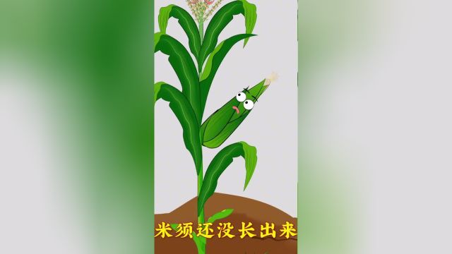 你们知道各种植物嫁接吗?还有什么植物可以嫁接呢?#动画制作#原创动画#植物科普#农业科技#百科