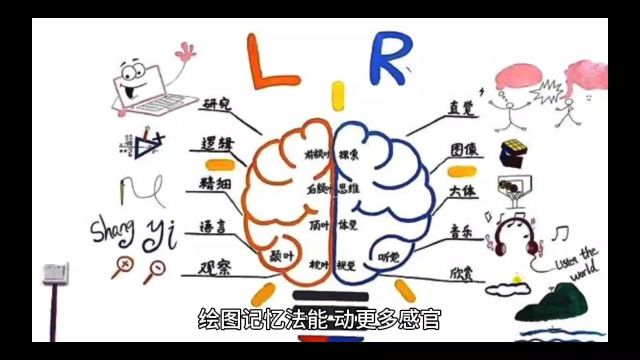 绘图记忆调动更多感官