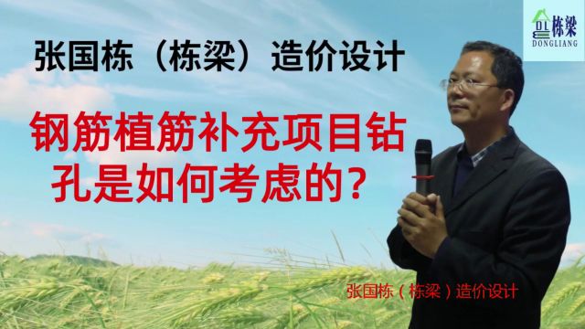 张国栋(栋梁)造价设计:钢筋植筋补充项目钻孔是如何考虑的?