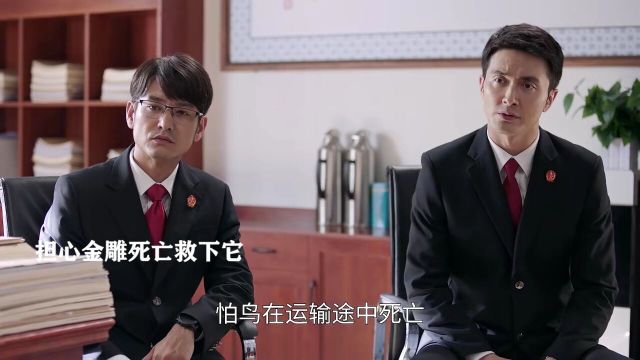 影视:女大学生看小鸟可怜救下它,却没想到毁了自己的一生