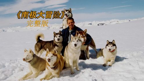 八只狗狗遗落南极，175天极限求生！